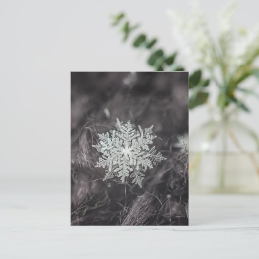 Snowflake lagen - Macro Briefkaart (Staand voorkant)
