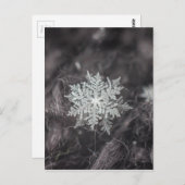 Snowflake lagen - Macro Briefkaart (Voorkant / Achterkant)