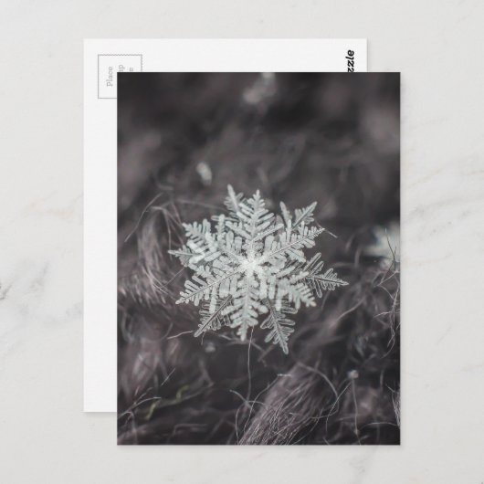 Snowflake lagen - Macro Briefkaart (Voorkant / Achterkant)