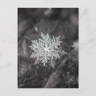 Snowflake lagen - Macro Briefkaart