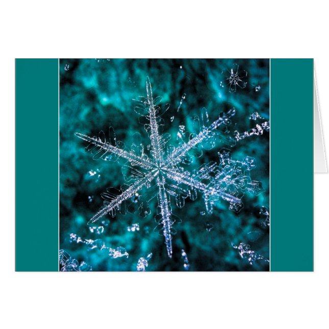 Snowflake Macro Foto voegt uw eigen tekaart toe (Voorkant Horizontaal)