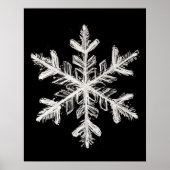 Snowflake muur kunst poster (Voorkant)
