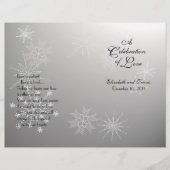 Snowflake Pareltjes Silver-programma (Voorkant)