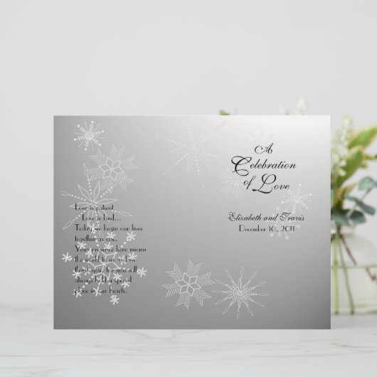Snowflake Pareltjes Silver-programma (Staand voorkant)