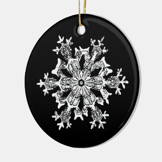 Snowflake Photo Ornament (Links)