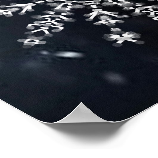 Snowflake Poster (Hoek)