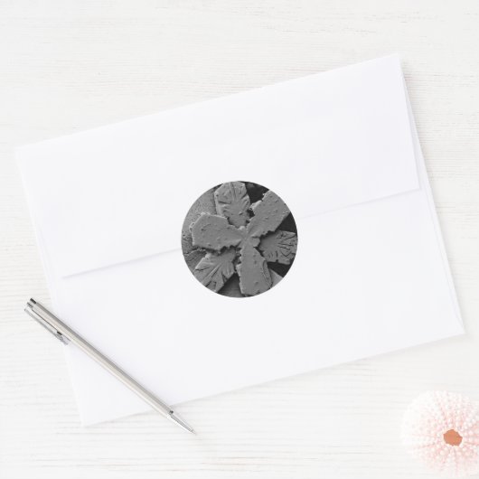 Snowflake Ronde Sticker (Envelop)
