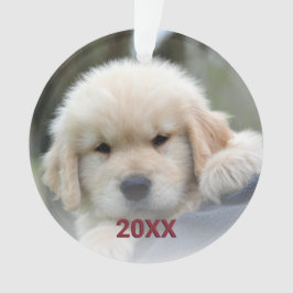 Snowflake Roze Opal Fun 2 met kerstfoto Ornament