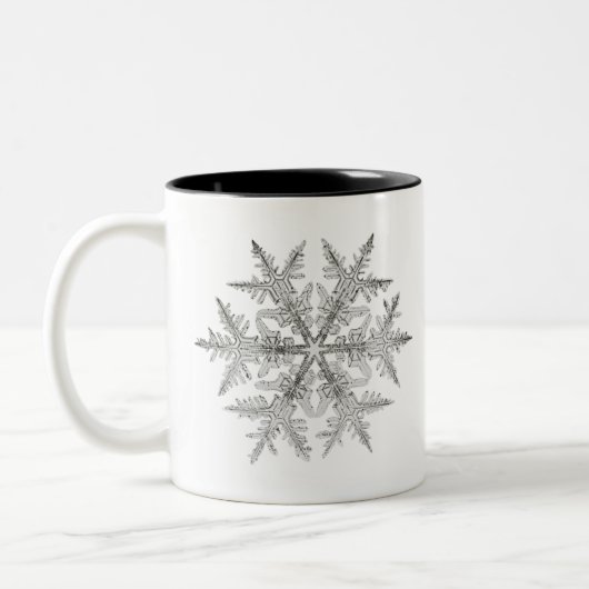 SNOWFLAKE SNEE CRYSTAL TWEEKLEURIGE KOFFIEMOK (Links)