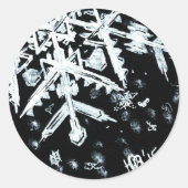 Snowflake Stickers (Voorkant)