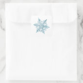 Snowflake Stickers (Tas)