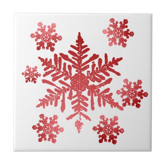 Snowflake Tegel Trivet Tegeltje (Voorkant)