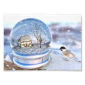 Snowflake Wereldbol Foto afdrukken (Voorkant)