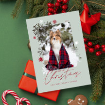 Snowflakes familie van prettige kerstwinter Foto