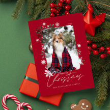 Snowflakes familie van prettige kerstwinter Foto