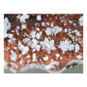 Snowflakes  foto afdruk (Voorkant)