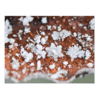 Snowflakes  foto afdruk