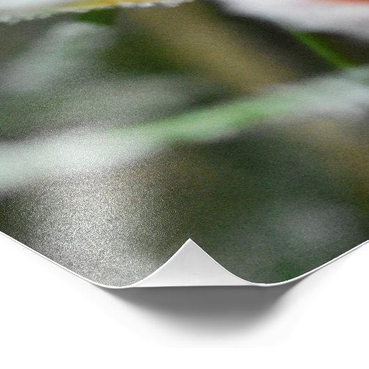 Snowflakes  foto afdruk (Hoek)