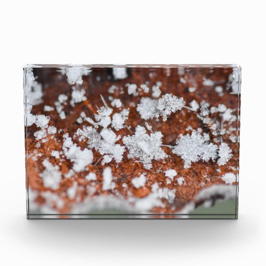 Snowflakes  fotoblokken (Voorkant)