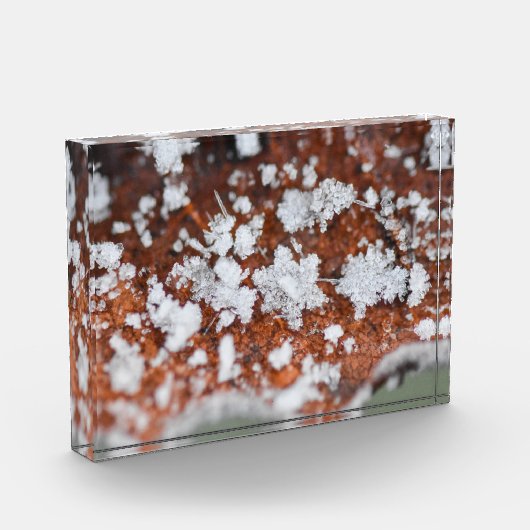 Snowflakes  fotoblokken (Links)