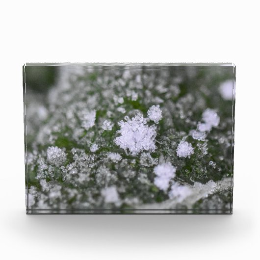 Snowflakes  fotoblokken (Voorkant)