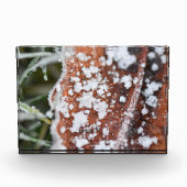 Snowflakes  fotoblokken (Voorkant)