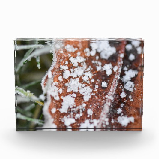 Snowflakes  fotoblokken (Voorkant)