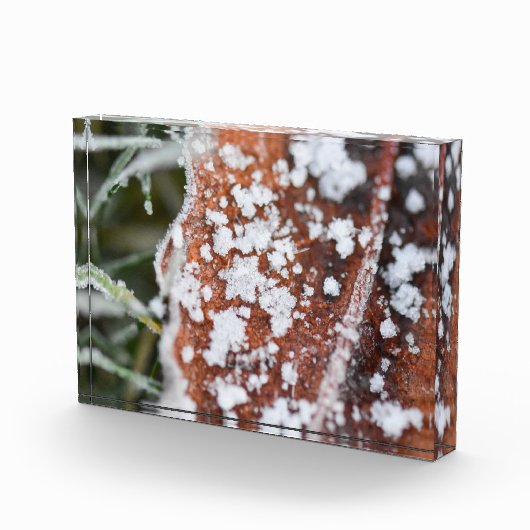 Snowflakes  fotoblokken (Rechts)