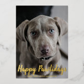 Snowflakes Happy Pawlidays Dog Folie Feestdagenkaart (Voorkant)