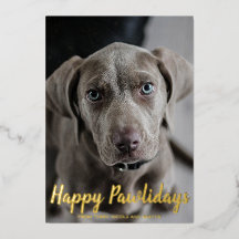 Snowflakes Happy Pawlidays Dog