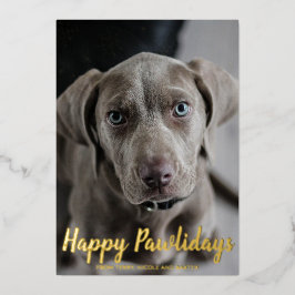Snowflakes Happy Pawlidays Dog Folie Feestdagenkaart