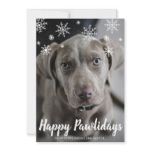 Snowflakes Happy Pawlidays