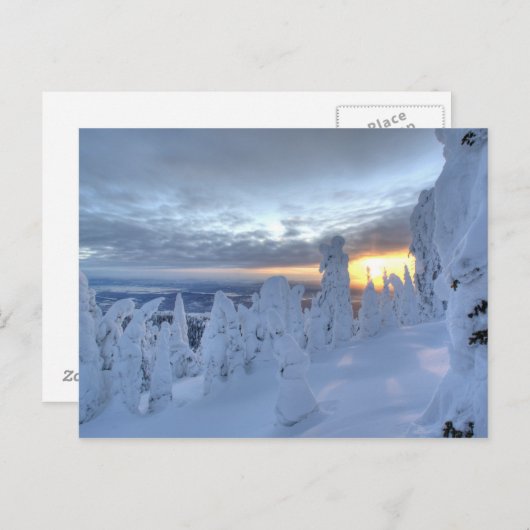 Snowghosts bij zonsondergang in het Whitefish Moun Briefkaart (Voorkant / Achterkant)
