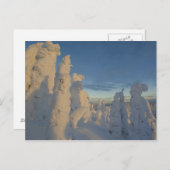 Snowghosts bij zonsondergang in Whitefish Mountain Briefkaart (Voorkant / Achterkant)