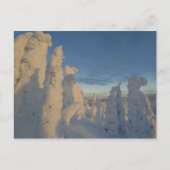 Snowghosts bij zonsondergang in Whitefish Mountain Briefkaart (Voorkant)