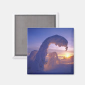 Snowghosts in de Whitefish Range of Montana Magneet (Voorkant / Achterkant)