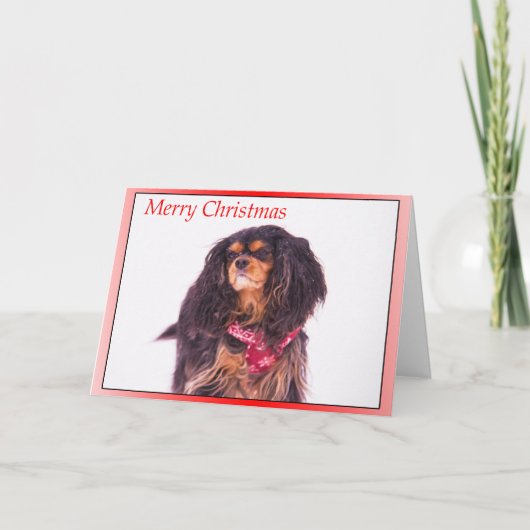 Snowing Cavalier King Charles Spaniel Kerstmis Feestdagen Kaart (Voorkant)