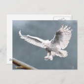 Snowings Briefkaart (Voorkant / Achterkant)