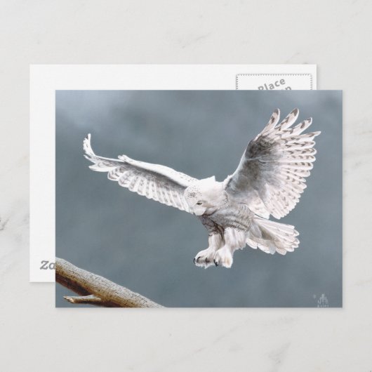 Snowings Briefkaart (Voorkant / Achterkant)