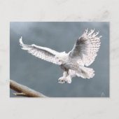 Snowings Briefkaart (Voorkant)