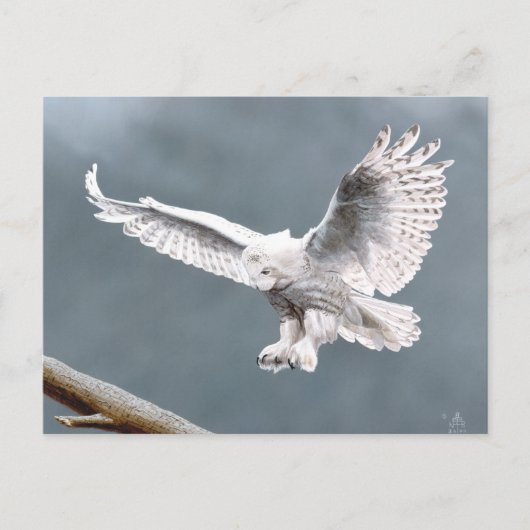 Snowings Briefkaart (Voorkant)