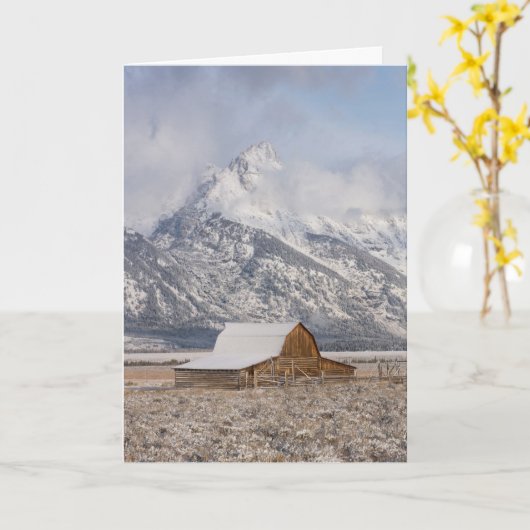 "Snowkissed" vakantie Kaart (Gele Bloem)