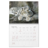 SnowLeopardBCR007, Sneeuwluipaard Kalender (Feb 2027)