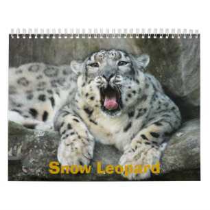 SnowLeopardBCR007, Sneeuwluipaard Kalender