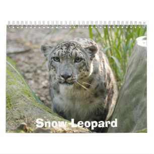 SnowLeopardBCR012, winterluipaard Kalender