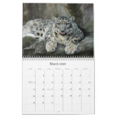 SnowLeopardBCR012, winterluipaard Kalender (Mar 2026)