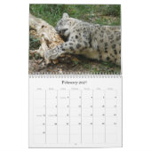 SnowLeopardM002, Sneeuwluipaard Kalender (Feb 2027)