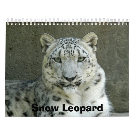 SnowLeopardM002, Sneeuwluipaard Kalender (Hoes)