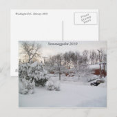 Snowmaggedon 2010 briefkaart (Voorkant / Achterkant)