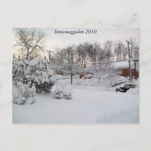 Snowmaggedon 2010 briefkaart